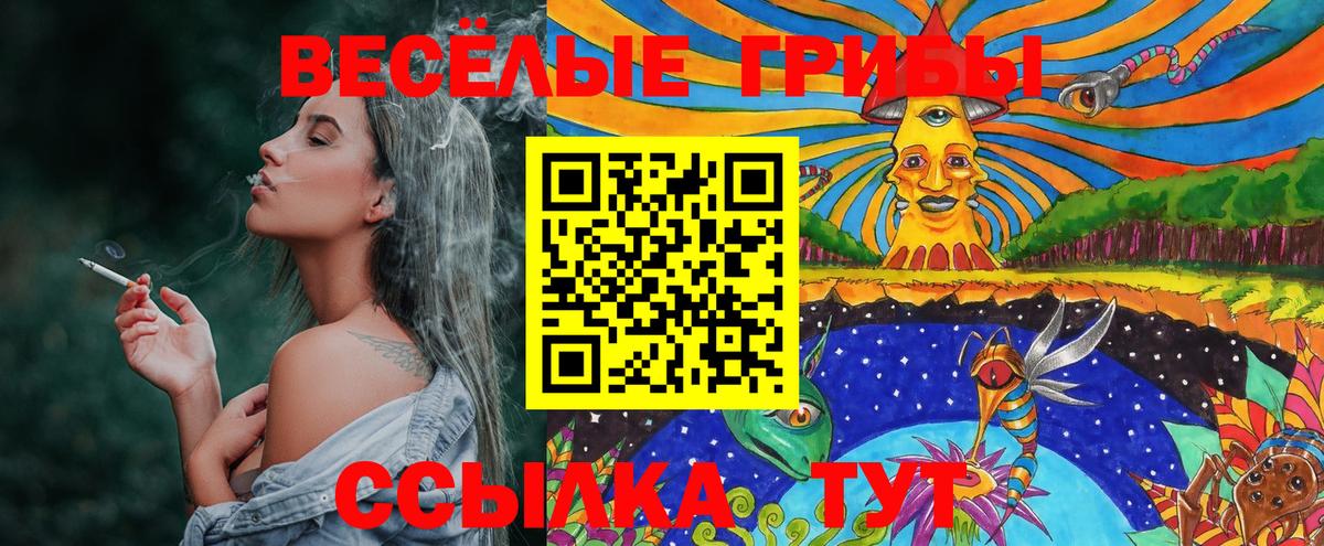 Камышлов  Галлюциногенные грибы Cubensis  Псилоцибиновые грибы MAGIC MUSHROOMS  Вход с VPN 